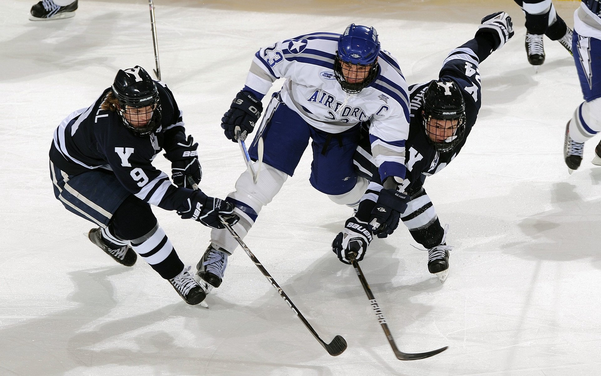 ky体育娱乐-意大利马术协会引入智能马鞍系统，实现实时数据监测与分析，提升骑乘体验。